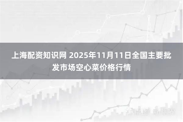 上海配资知识网 2025年11月11日全国主要批发市场空心菜价格行情